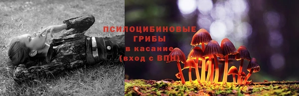 ГАЛЛЮЦИНОГЕННЫЕ ГРИБЫ Балабаново