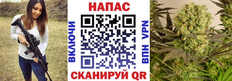 Бошки марихуана Amnesia Гагарин